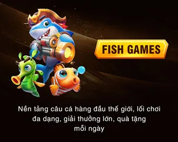 Phần Hỏi Đáp Thường Gặp
